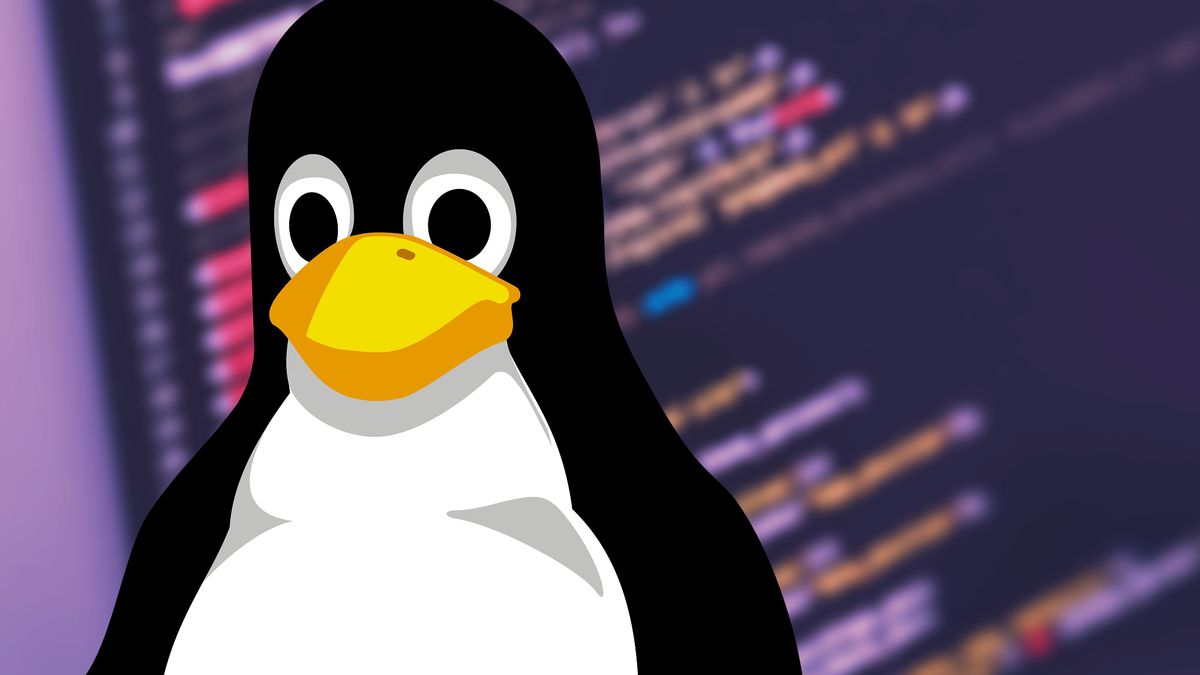 Lei FELCA pode proibir o Linux no Brasil? Entenda os impactos para sistemas críticos